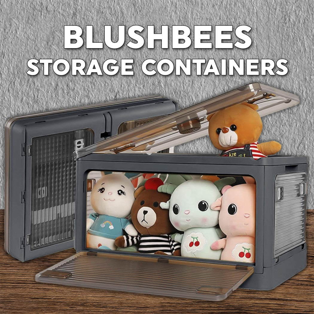 Blushbees Storage Baskets with Metal Frame for Organizing Wardrobe, Sh –  BLUSHBEES USA